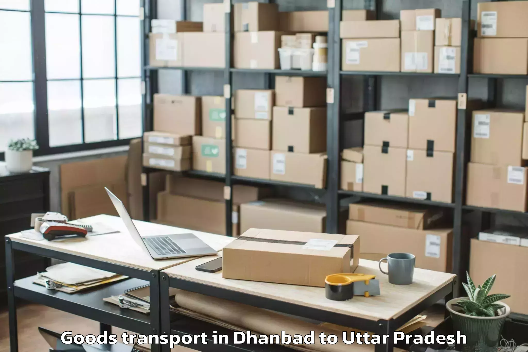 Expert Dhanbad to Mahroni Goods Transport